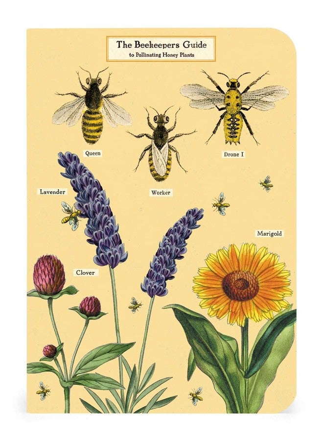CAVANILLI & CO. Bees & Honey Mini Notebooks - Image 2
